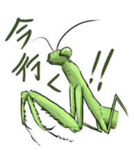 763188