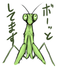 763191