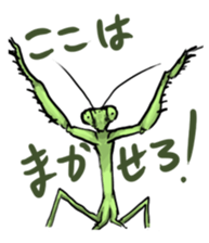 763201