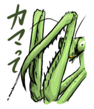 763203
