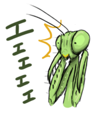763205