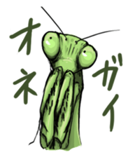 763207