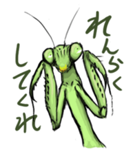 763208