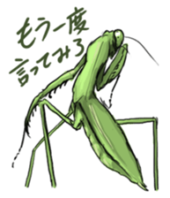 763210