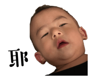 763216405