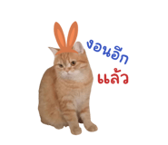 763221946