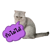 763221947