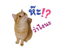 763221948