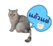 763221951