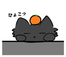 763236171