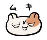 763237884