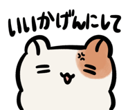763237896