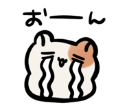 763237904