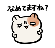 763237906