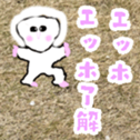 763238260