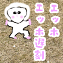 763238263