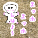 763238265