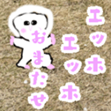 763238270