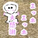 763238271