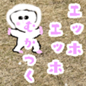763238280
