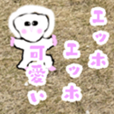 763238281