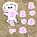 763238283