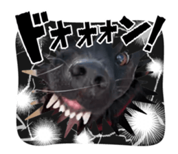 763253050
