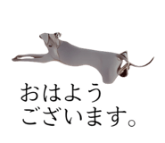 763255538
