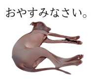 763255539