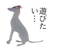 763255541