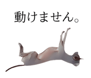 763255542