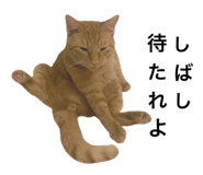 763255626
