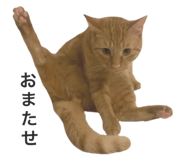 763255627