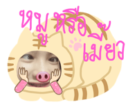 763268419