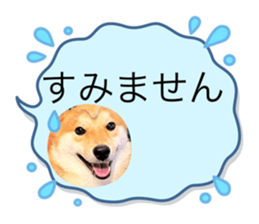 763269517