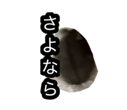 763279166