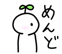 763284606
