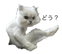 763289185