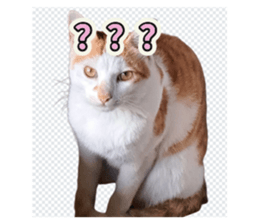 763290972