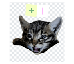 763291202