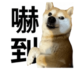 763291620