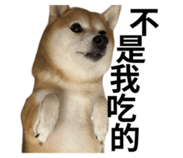 763291624