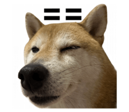 763291626
