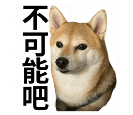 763291631