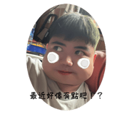 763291806