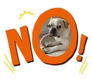 763295811