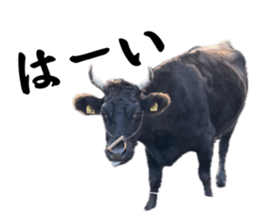 763300162