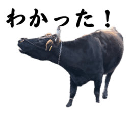 763300165