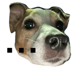 763300273