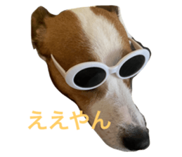 763300275